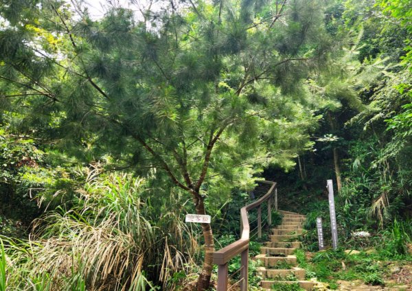 【中級山】台南第一高峰，關子嶺大凍山2741135