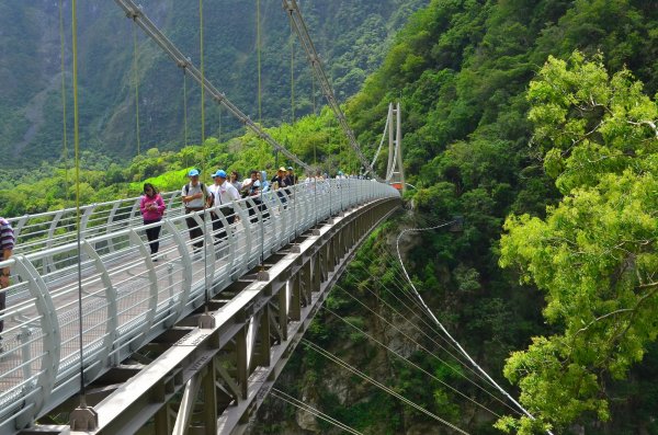 【新聞】絕美! 太魯閣「山月吊橋」啟用 內政部：歡迎預約走訪