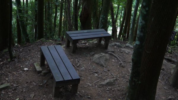 加里山登山健行趣(小百岳42)1527226