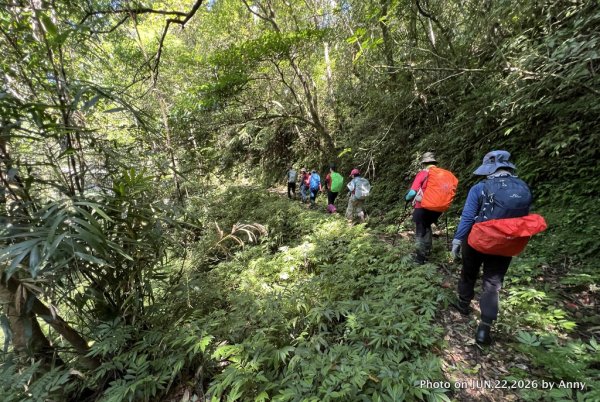 灣潭福德廟－南勢坑山－灣潭竹子山－七股古道－橫坪尾古道－灣潭古道－灣潭福德廟Ｏ形3079423