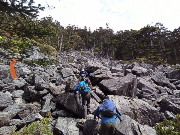 【臺中市和平區】白姑大山(單攻)1407721