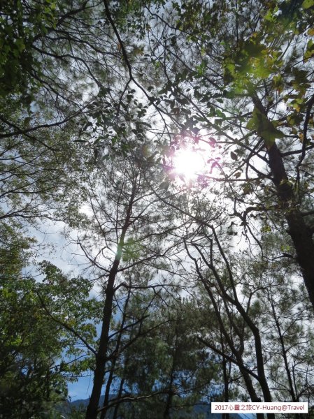 《南投》心靈之旅｜惠蓀林場步道群20171010-212890536