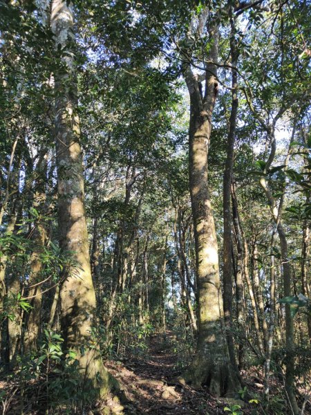 2024.02.01 凌空廊道登煤源山2843955