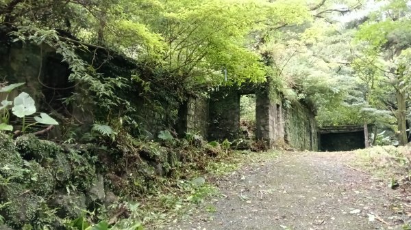 三芝區龜子山橋-三板橋-大屯溪古道(殘念)去回3090803