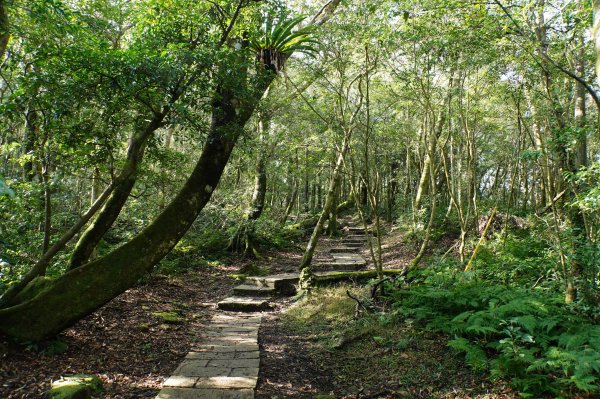 桃園-三峽 志繼山、東眼山、拉卡山、卡外山3005192
