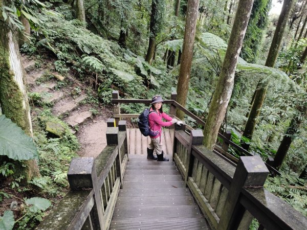 五指山走春3009576