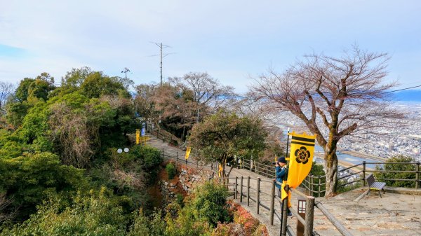 織田信長的天下夢2980808