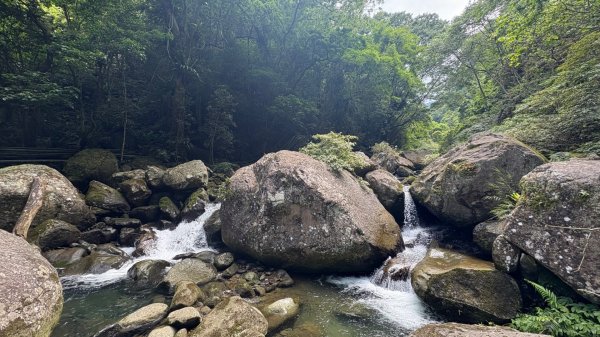 戲水（鴛鴦2786676