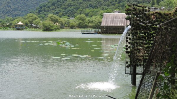 《南投》靜謐湖光｜ 埔里鯉魚潭環潭8字繞202606293080337