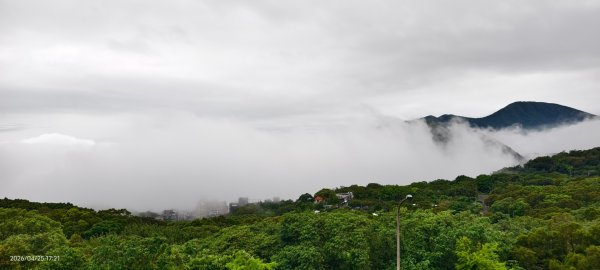 #文化大學 #雲海 #琉璃光 #陽明山秘境 4/253042460