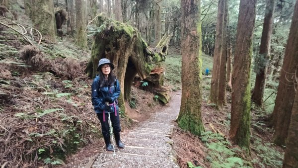 神阿縱走~台灣難抵極~大塔山2971476