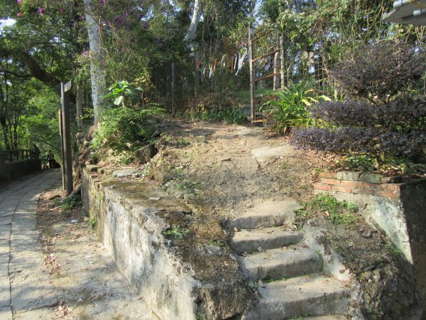 20200201-獅頭山820583