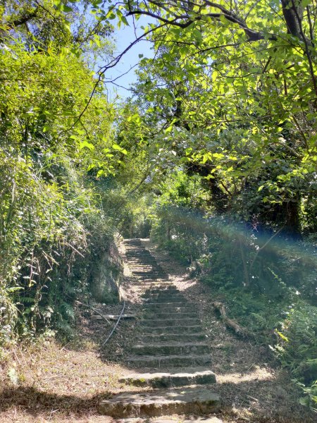 中正山步道-竹子湖來回1361644