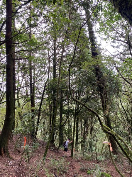 守城大山守關山南峰線2020/6/261016400