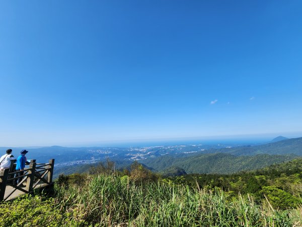 20250322-姜子寮山2740009