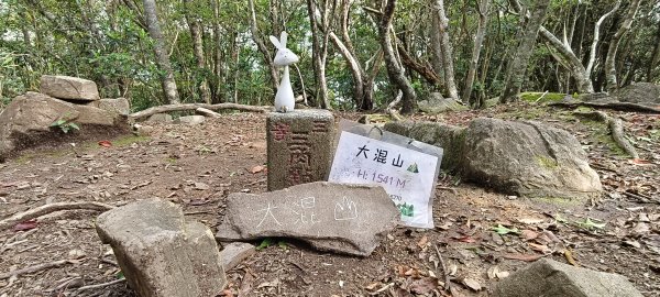 2025/05/01-凌空廊道上李崠山2775479