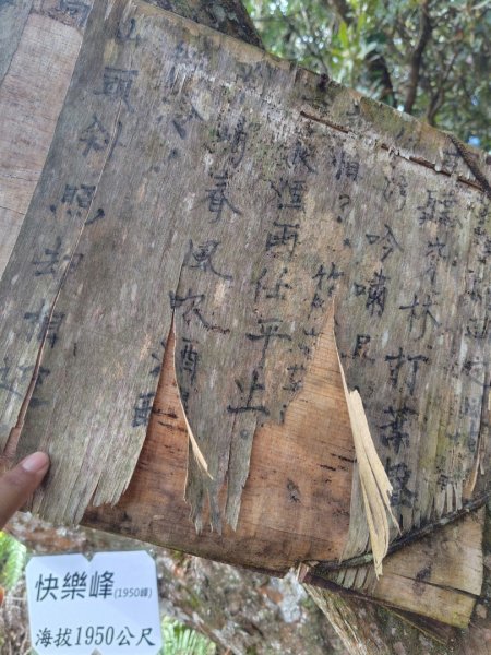 長壽山、肥崠山、醜崠山、大崠山、大崠山經建版2931567