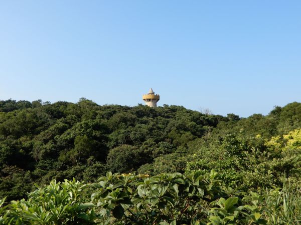 20180731_ 海興步道/大武崙山375604