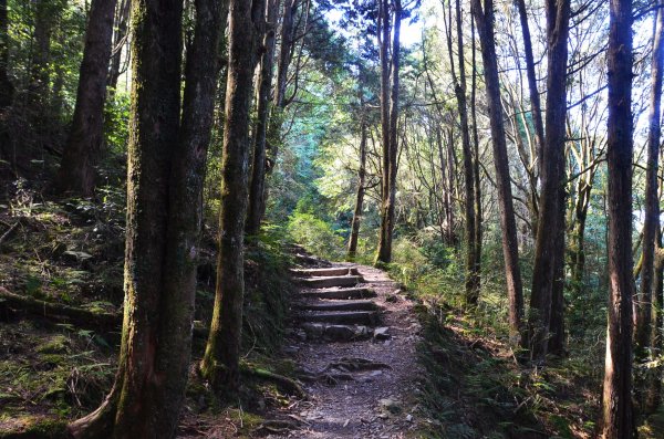 稍來山 & 分桂林山1923189