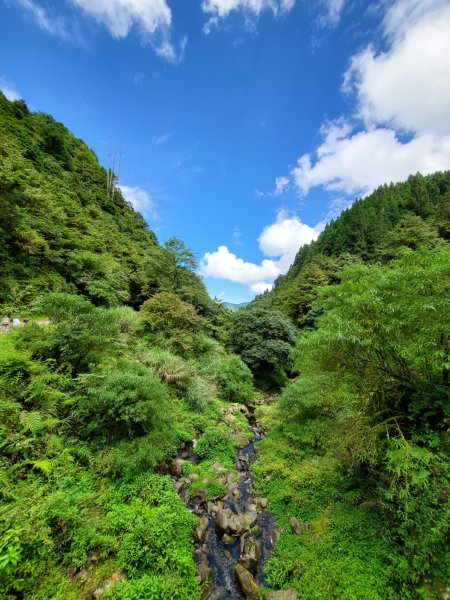 【嘉義 | 特富野】1069248