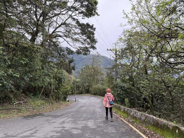 汐止大尖山-202503172770530