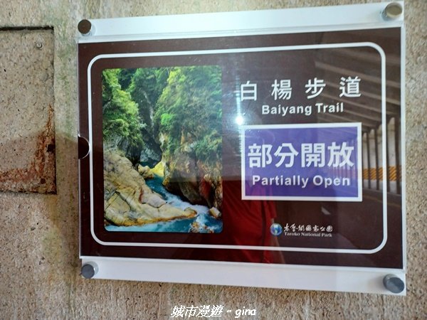 【花蓮秀林】台灣百大必訪步道。 白楊步道2230632