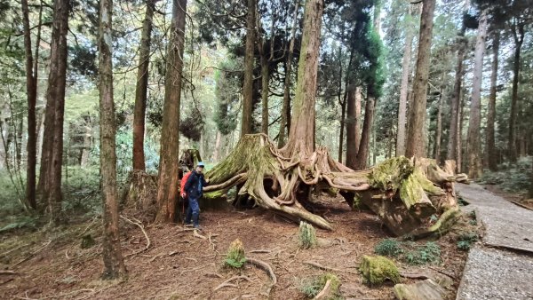 神阿縱走~台灣難抵極~大塔山2971475