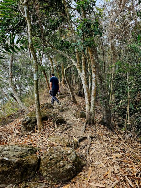 小百岳集起來-竹子尖山2184587