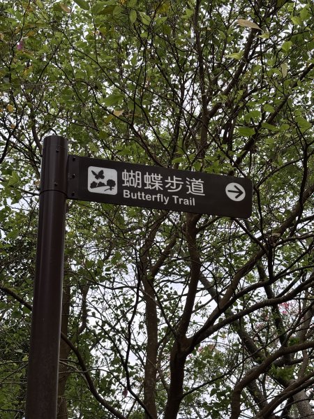 2025-09-06 牛港稜山步道2883854