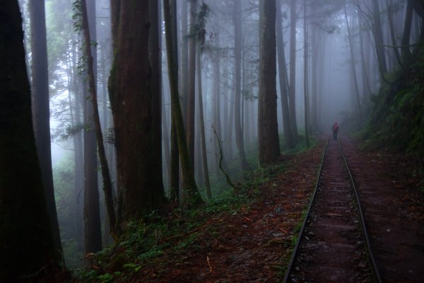 迷霧幽幽~特富野古道691956