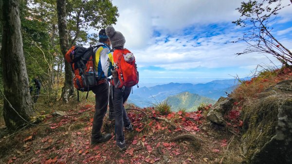 20251212稍來山賞楓2964437