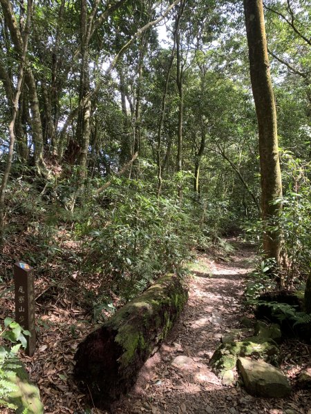 20251004高雄尾寮山-西北峰2907846