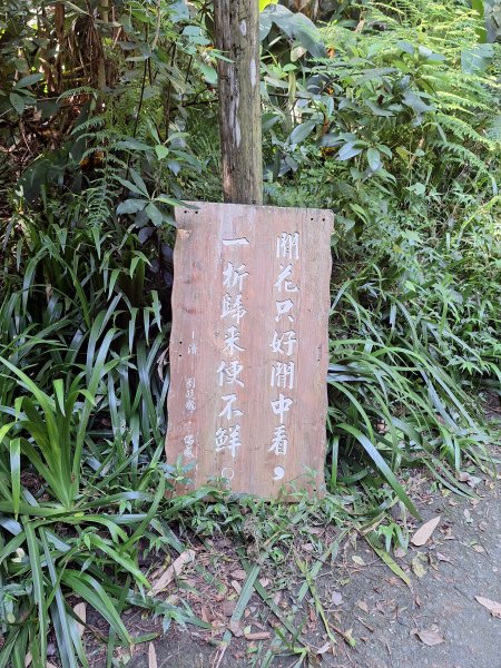 田中森林登山步道＋茶香步道＋赤水崎公園步道202508172862067