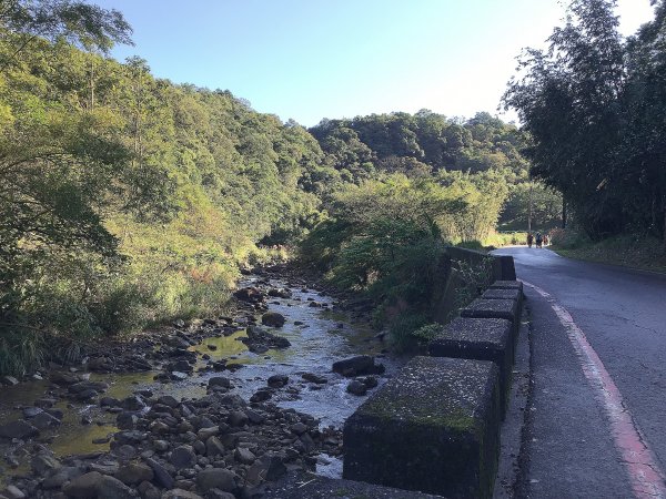 ~  賞秋芒  --  草嶺古道  ~1523248