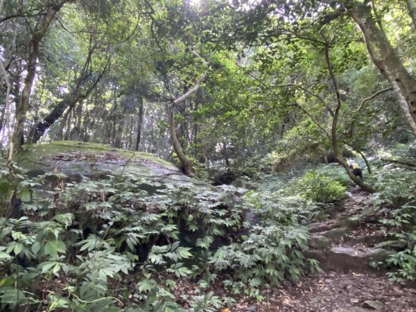 20250713-Ep.09油羅山步道-2025森遊竹縣皮皮獅探險隊2851880