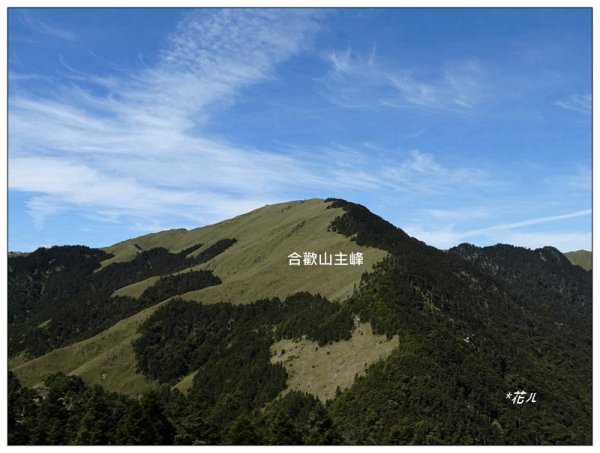 石門山/杜鵑花開1367790