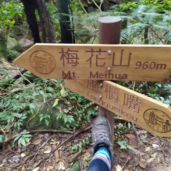 臺北大縱走第四段1293141