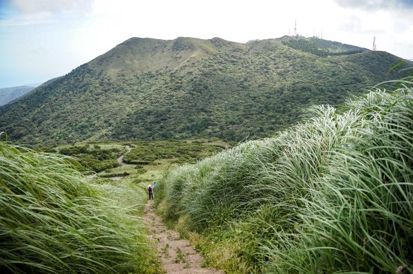 台北大縱走第二段｜大屯山連峰步道3058349