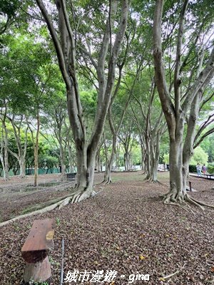 【台中東勢】東勢林業文化園區x許良宇圖書館3081521