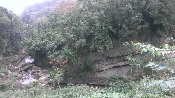 20151226泰安鄉熊佧山27743