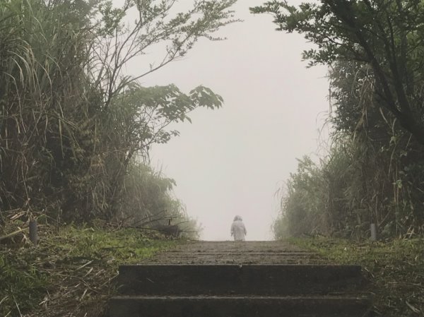 20200411-五分山步道914469