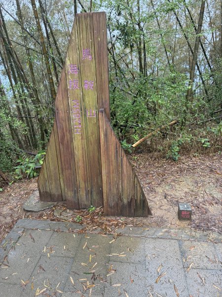 20260406[公車]雲嘉連峰-二尖山+馬鞍山+梨子腳山+太平山+太平山西峰3031087