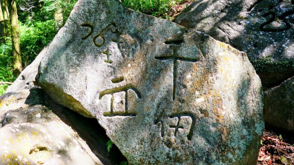 陽明山16草原之西線8草原2904064