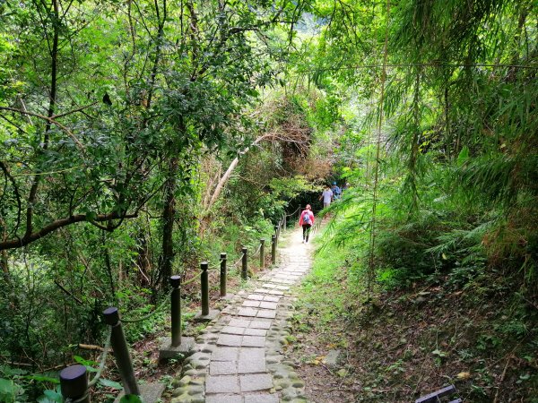 新竹峨眉~小而美的悠閒步道。 水濂橋步道1104168