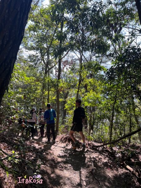 東卯山-谷關七雄 中級山2337159