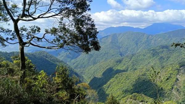 橫屏山~獅凸魯山~舊武界越山~ 埋石山2022年4月5日1663975