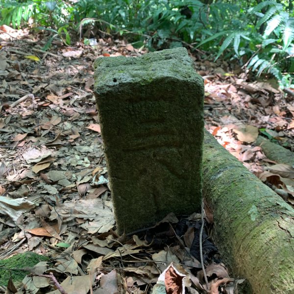 20250913苗栗三湖山2890822