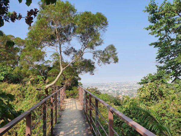 清水岩中央嶺造林步道1188966