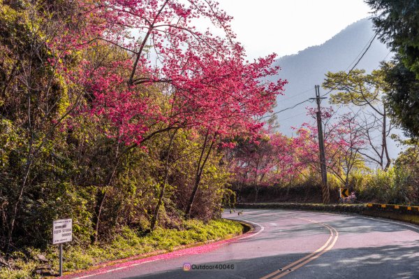 玉山前峰2490280