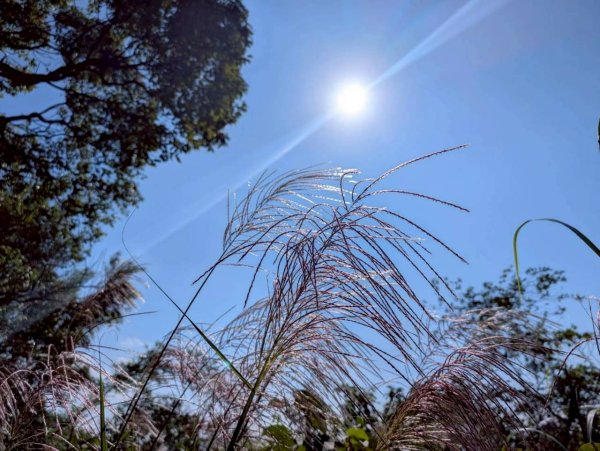 🌈11/8（六）桃園神社+虎頭山風景區尋找10連峰✨FB：熊熊趴爬走🌈2932430